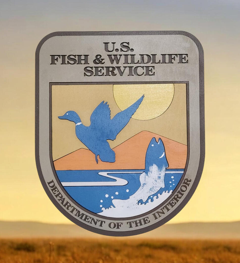 us fild and wildlife service patch